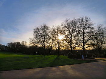 Bare trees on grassy field against sky at sunset