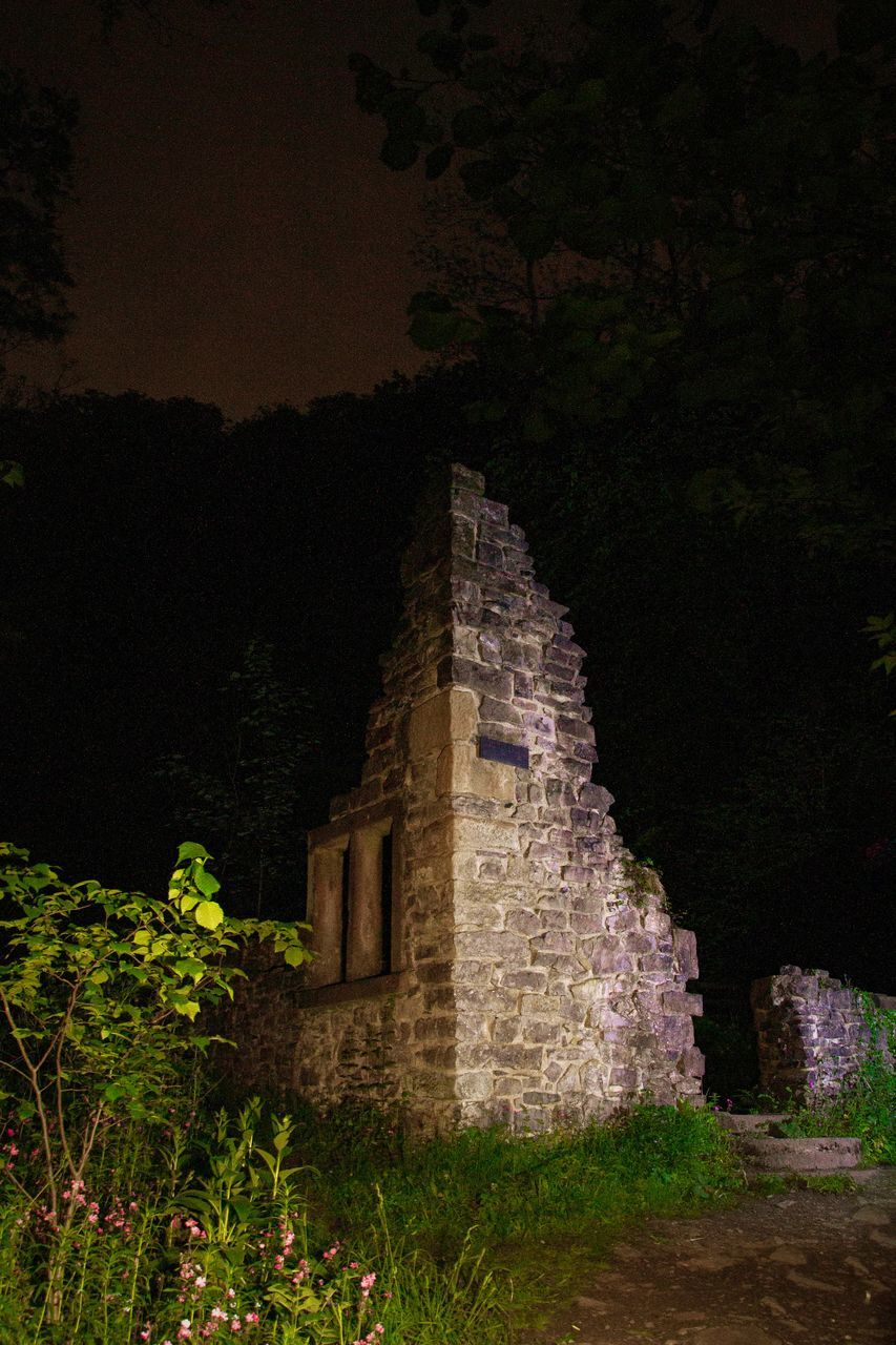 architecture, history, the past, night, built structure, plant, ancient, building exterior, nature, old ruin, darkness, travel destinations, no people, building, old, tree, travel, religion, outdoors, light, ruins, tourism, land, place of worship, sky, stone material, dark, belief