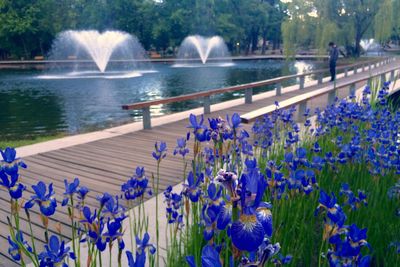 Scenic view of water fountain