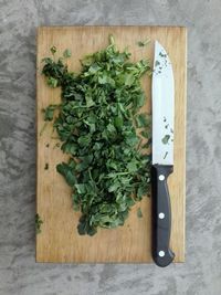 High angle view of vegetables on cutting board on table