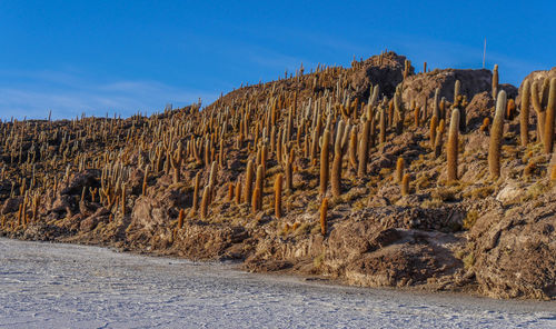 Panoramic view of rock formation against sky