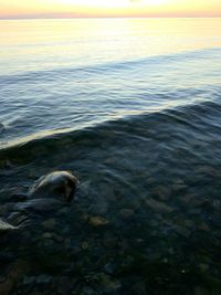 Scenic view of sea