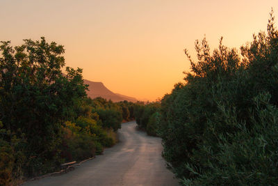 Road amidst trees against sky during sunset