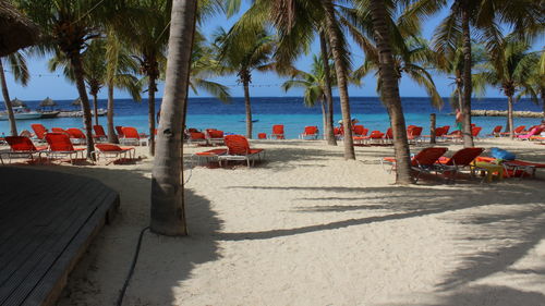 Palm trees on beach