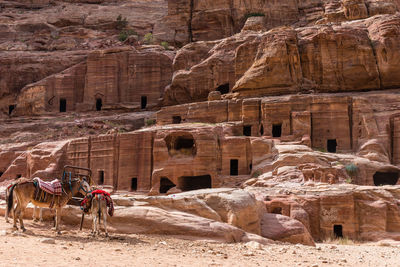 Tourists standing on rock