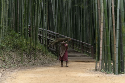 Rear view of woman walking in forest