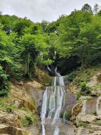 Scenic view of waterfall in forest