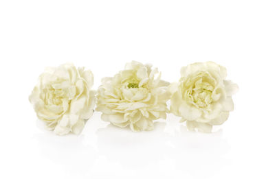 Close-up of rose bouquet against white background