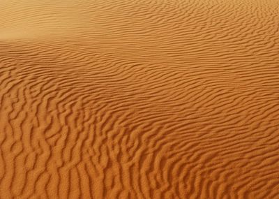 Full frame shot of sand dune