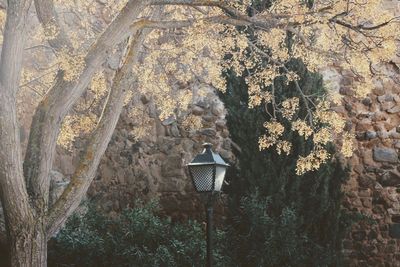 Low angle view of street light against building