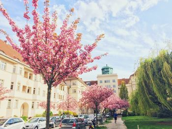 View of building with trees in background
