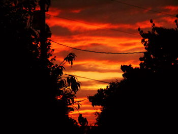 Low angle view of silhouette trees against orange sky