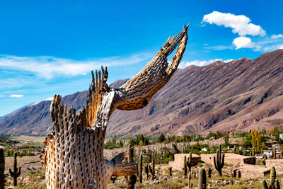 Panoramic view of cactus on mountain