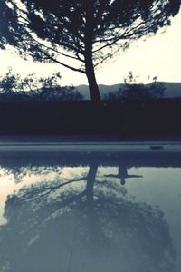 Bare trees against sky