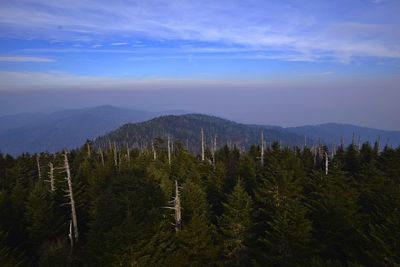 Scenic view of tree mountains against sky