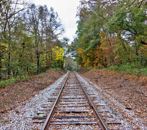 Railroad tracks in forest during autumn