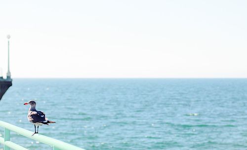 Scenic view of sea against blue sky