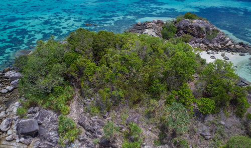 High angle view of rocks by sea