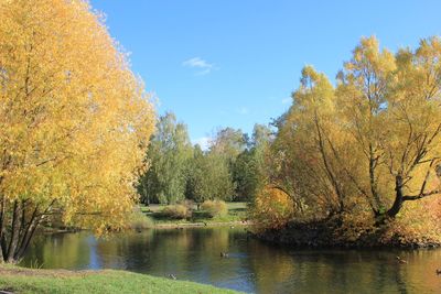 Trees by lake against sky during autumn