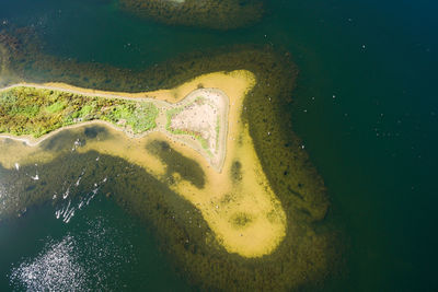 Aerial view of country park at sea