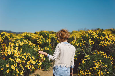 Rear view of woman standing on field by flowers against clear blue sky during sunny day