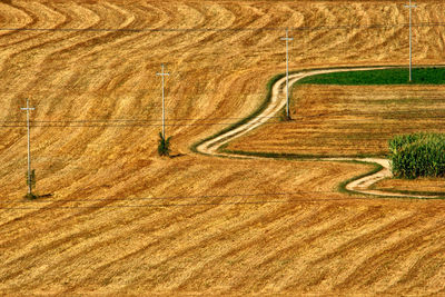 Scenic view of agricultural field