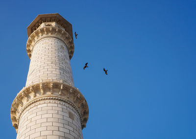 Pillar of taj mahal in clear blue sky with flying birds