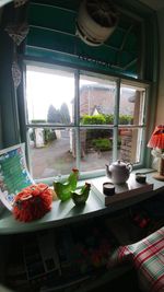 View of potted plant on table at home