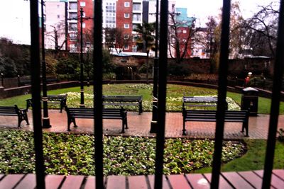 Trees and plants in city seen through window