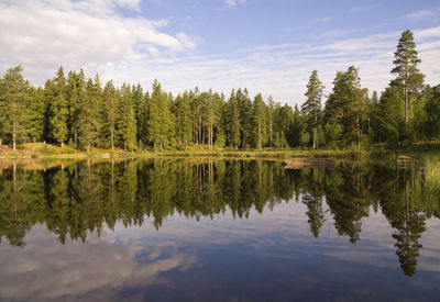 Scenic view of lake by trees against sky