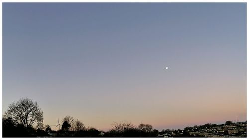 Low angle view of trees against clear sky