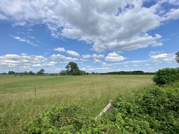 Scenic view of field against sky