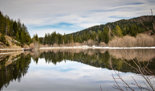 Scenic view of lake by trees against sky
