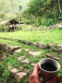 Midsection of woman holding coffee in park