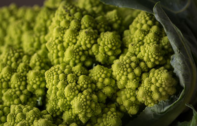 Full frame shot of fresh green romanesco broccoli