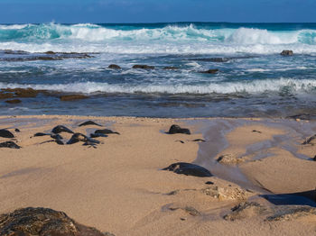 Scenic view of beach against sky