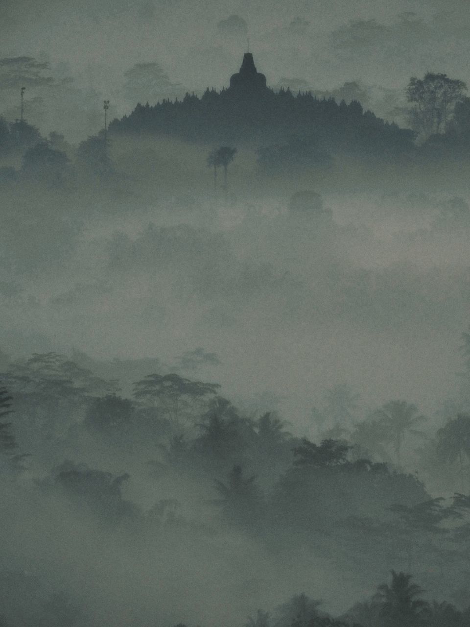 TREES AGAINST SKY DURING FOGGY WEATHER