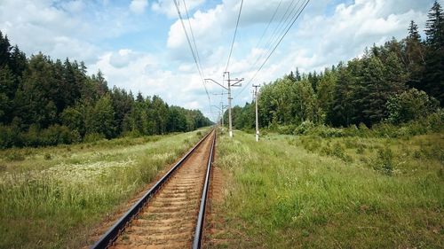 Railroad tracks by trees against sky