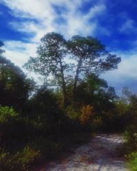 Scenic view of trees against cloudy sky