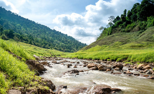 The scenic view of chong lom valley, fresh and abundant in the national park 