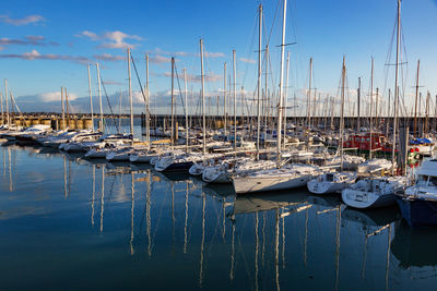 Sailboats moored at harbor against sky