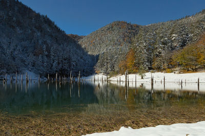 Reflection of trees in lake in winter