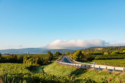 High angle view of field against clear blue sky