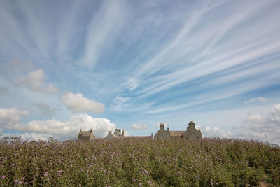 Panoramic view of plants and buildings against sky