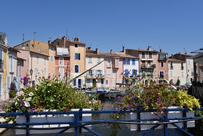 Plants by buildings against clear blue sky