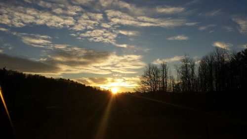 Silhouette of trees at sunset