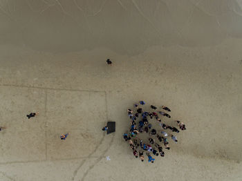 High angle view of crab on beach