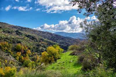 Scenic view of mountains against sky