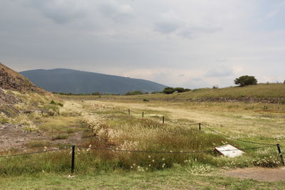 Scenic view of field against sky