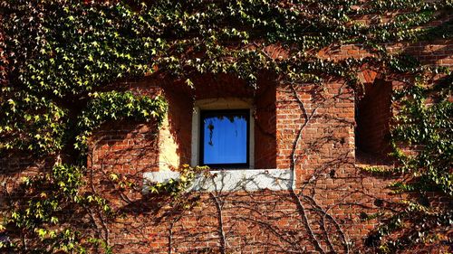 Window of old building
